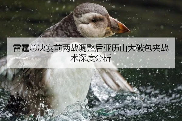 雷霆总决赛前两战调整后亚历山大破包夹战术深度分析